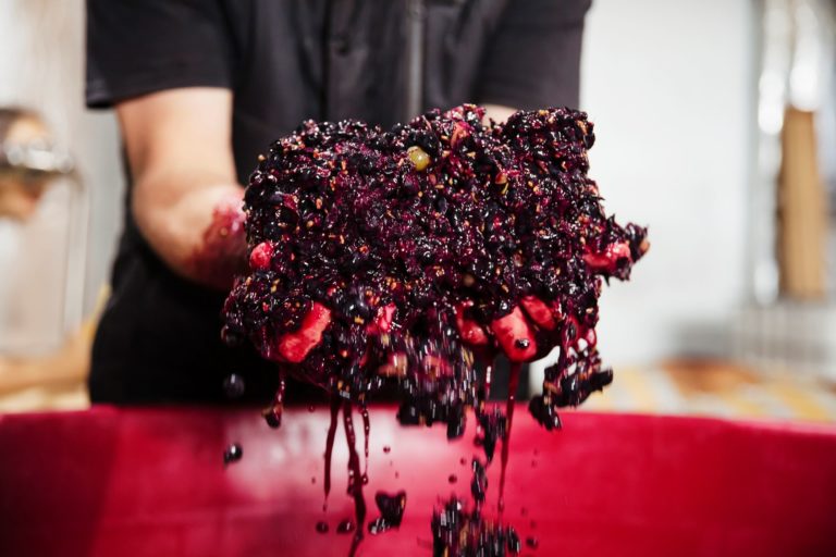 2022 Vintage Winery Tour