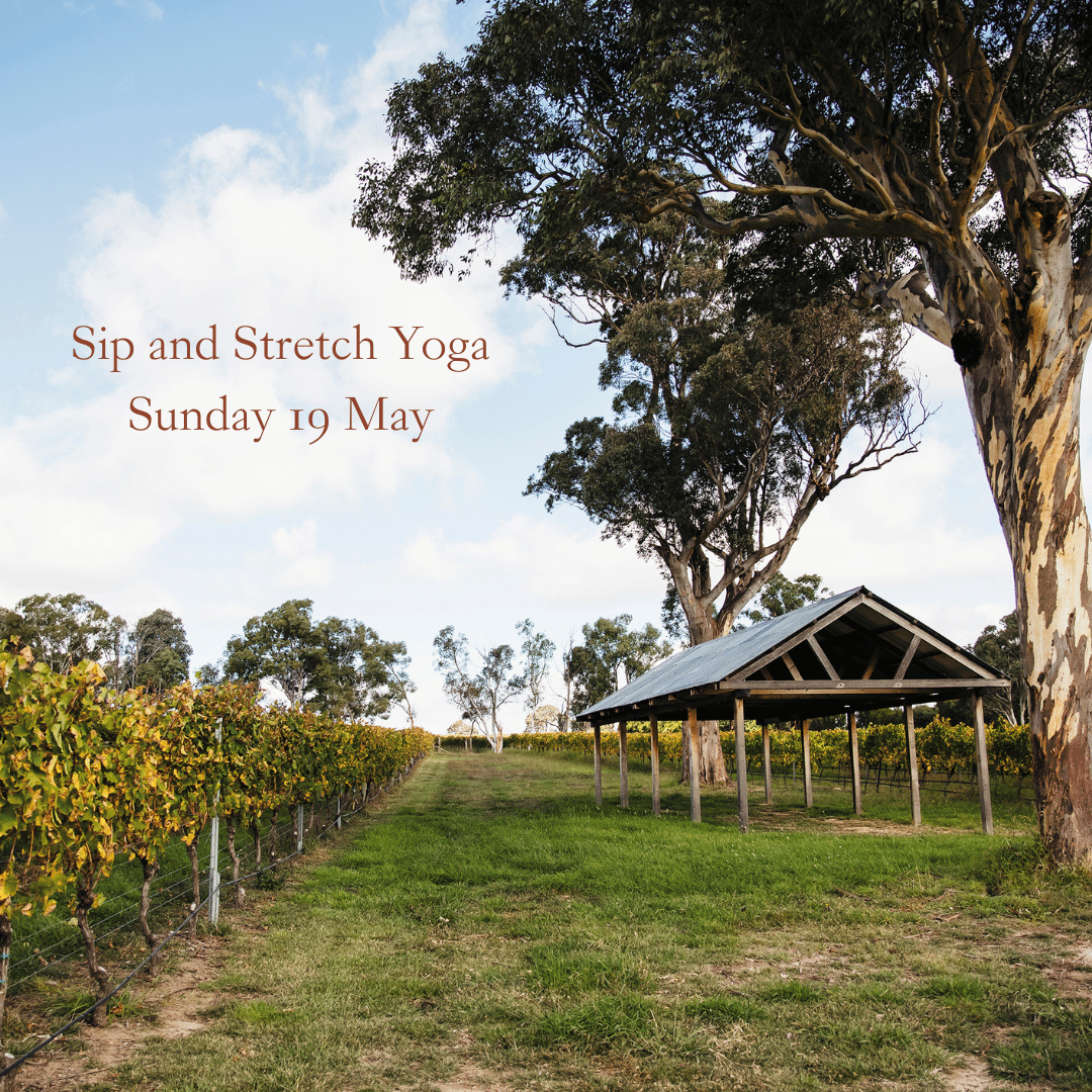 Sip and Stretch Yoga