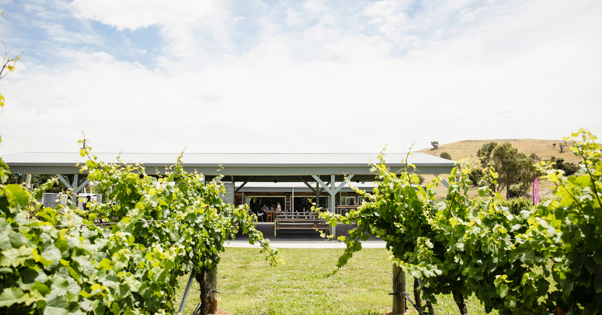 Four Winds Vineyard