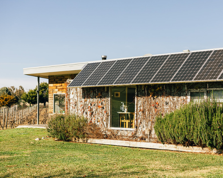 Four Winds Vineyard cellar door